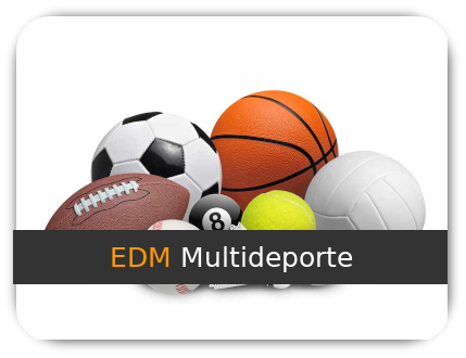 Voleibol