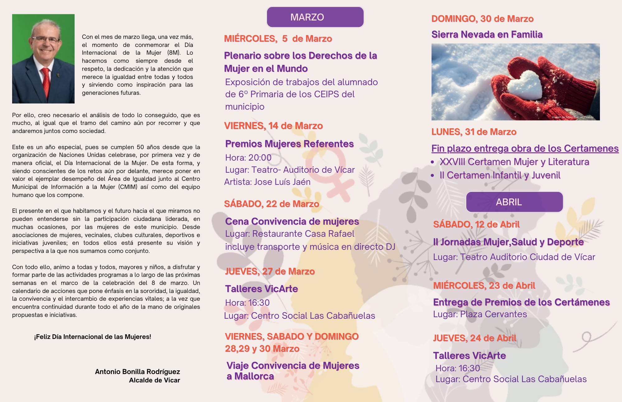Ver imagen