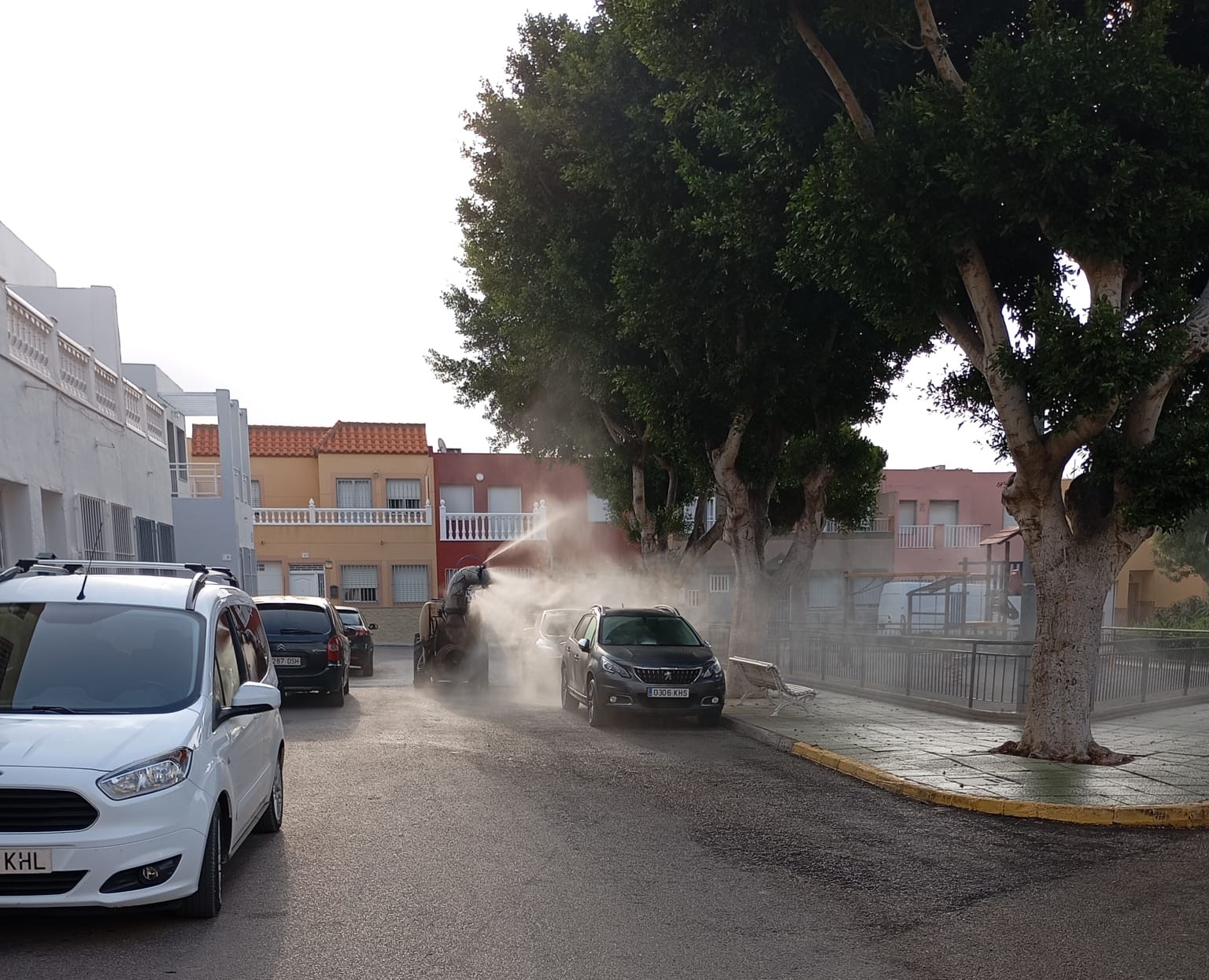Ver imagen