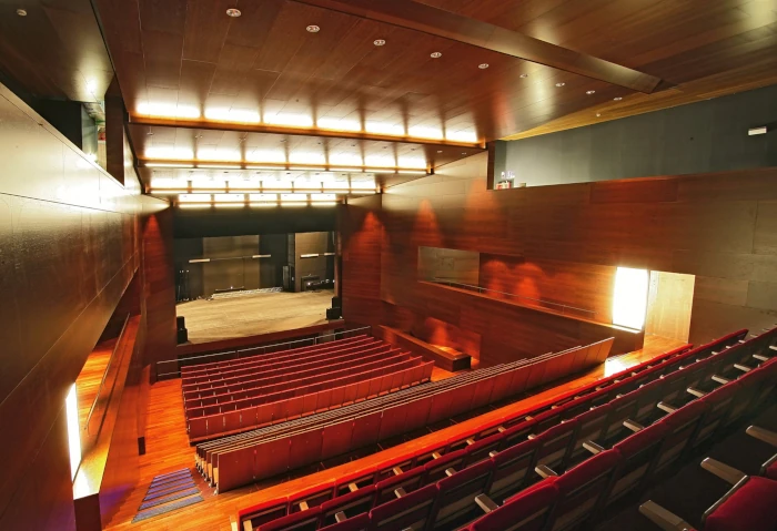 Interior del auditorio de Vícar